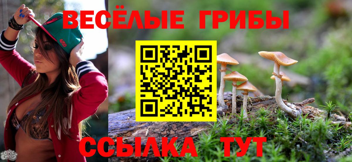 Галлюциногенные грибы Magic Shrooms Кушва