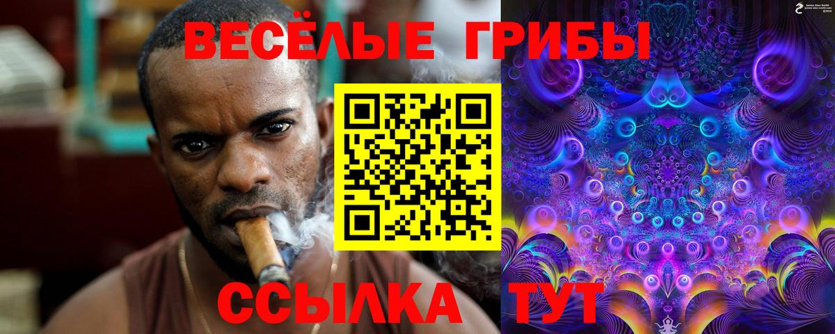 Кушва  Галлюциногенные грибы Psilocybe  Вход с VPN 